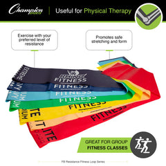 20 LB Resistance Therapy/Exercise Flat Band Purple