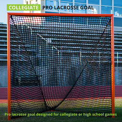 Pro Collegiate Goal