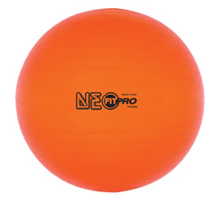 53 cm Fitpro Training & Exercise Ball