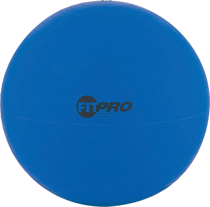 53 cm Fitpro Training & Exercise Ball