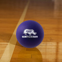 6 Inch Rhino Skin Low Bounce Softi Ball Set