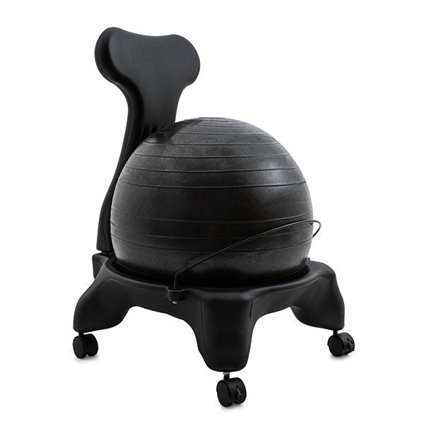 Fitpro Ball Chair