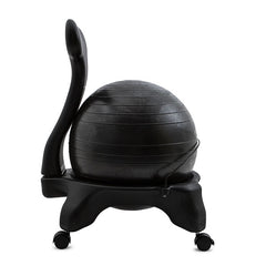 Fitpro Ball Chair