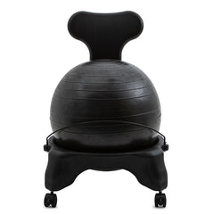 Fitpro Ball Chair