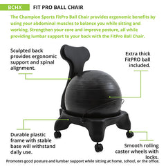 Fitpro Ball Chair