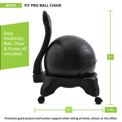 Fitpro Ball Chair