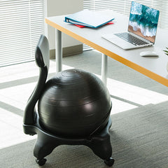 Fitpro Ball Chair