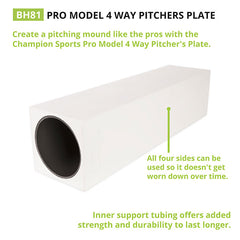 Pro Model 4-Way Pitcher's Box