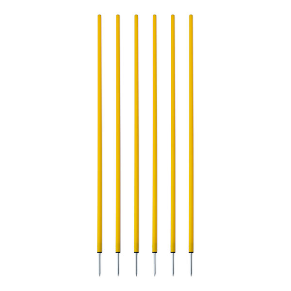 Coaching Sticks Set of 6 Yellow