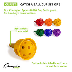 Catch-A-Ball Set