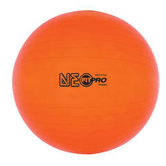 42 cm Fitpro Training & Exercise Ball