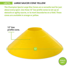 Large Saucer Cone