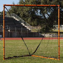 Backyard Lacrosse Goal & Net