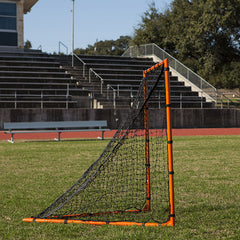 Backyard Lacrosse Goal