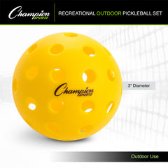 Recreational Outdoor Pickleball Set