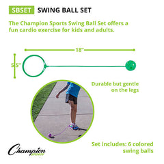 Swing Ball Set