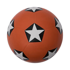 Trainer Soccer Ball