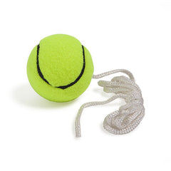 Tether Tennis Game