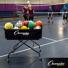 Mammoth Volleyball Cart